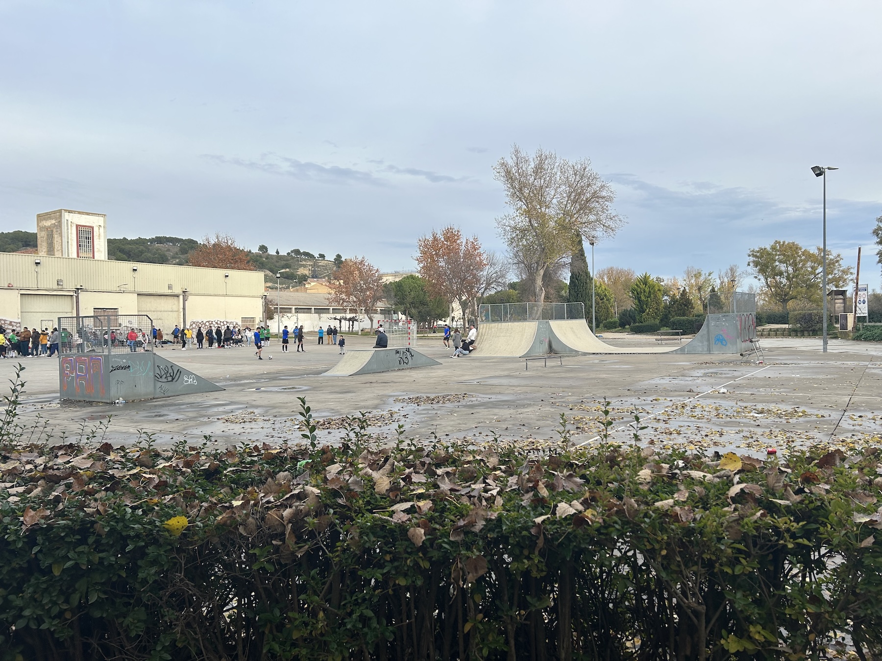 Peralta skatepark